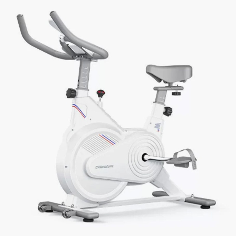 Home Gym Garden - Stationäres Indoor-Spin-Bike, Geräuscharmes Magnetwiderstand-Trainingsfahrrad mit LCD-Monitor,