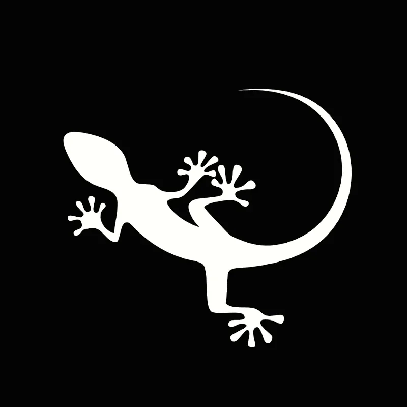 Persönlichkeit Reptilien Eidec – Weight Plate Bumper Bewertung und Preis