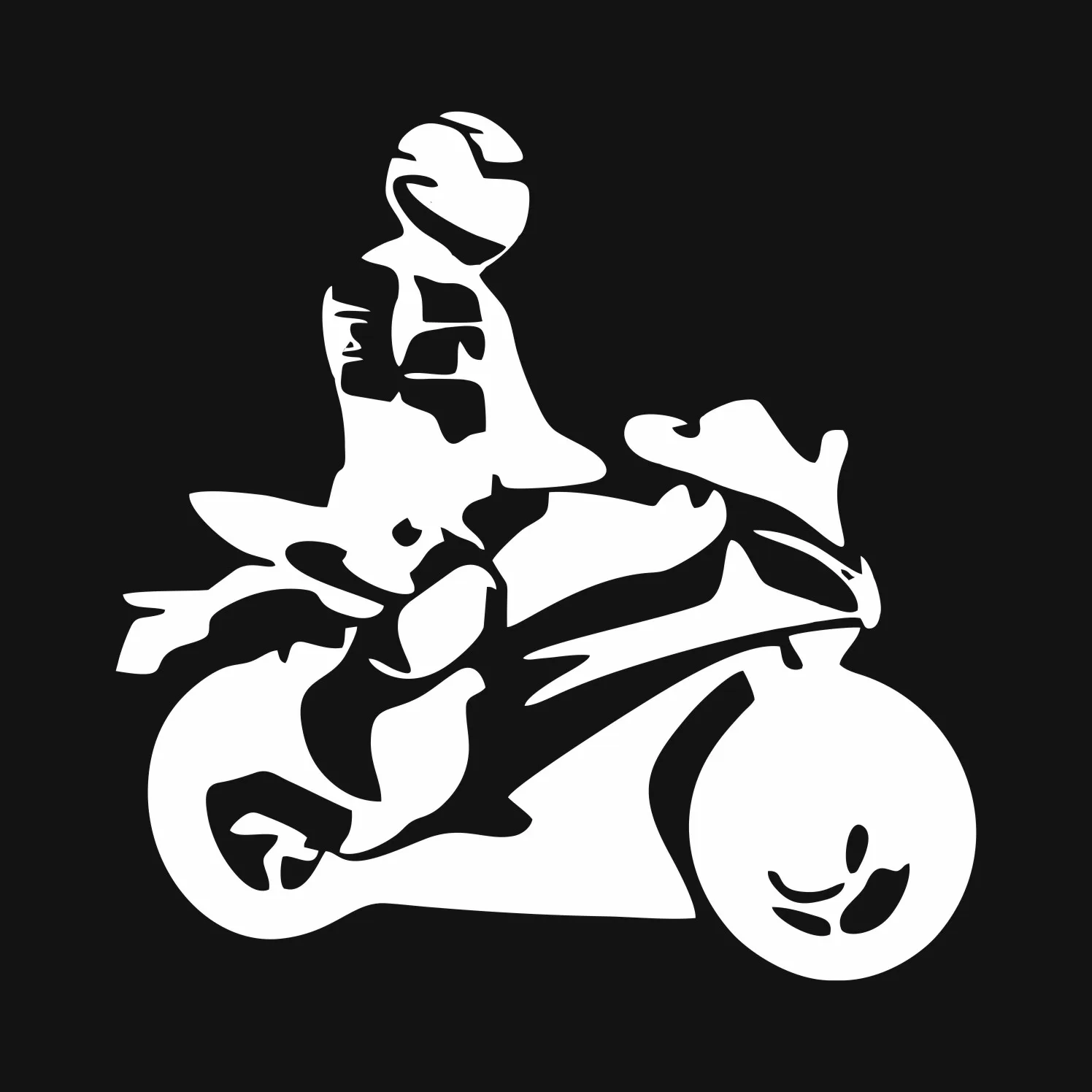 Neues Design Motorrad Silhouet – Weight Plate Bumper Bewertung und Preis
