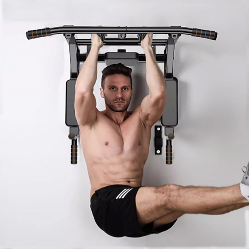 An der Wand montierte Klimmzug – Home Gym Luxury Bewertung und Preis